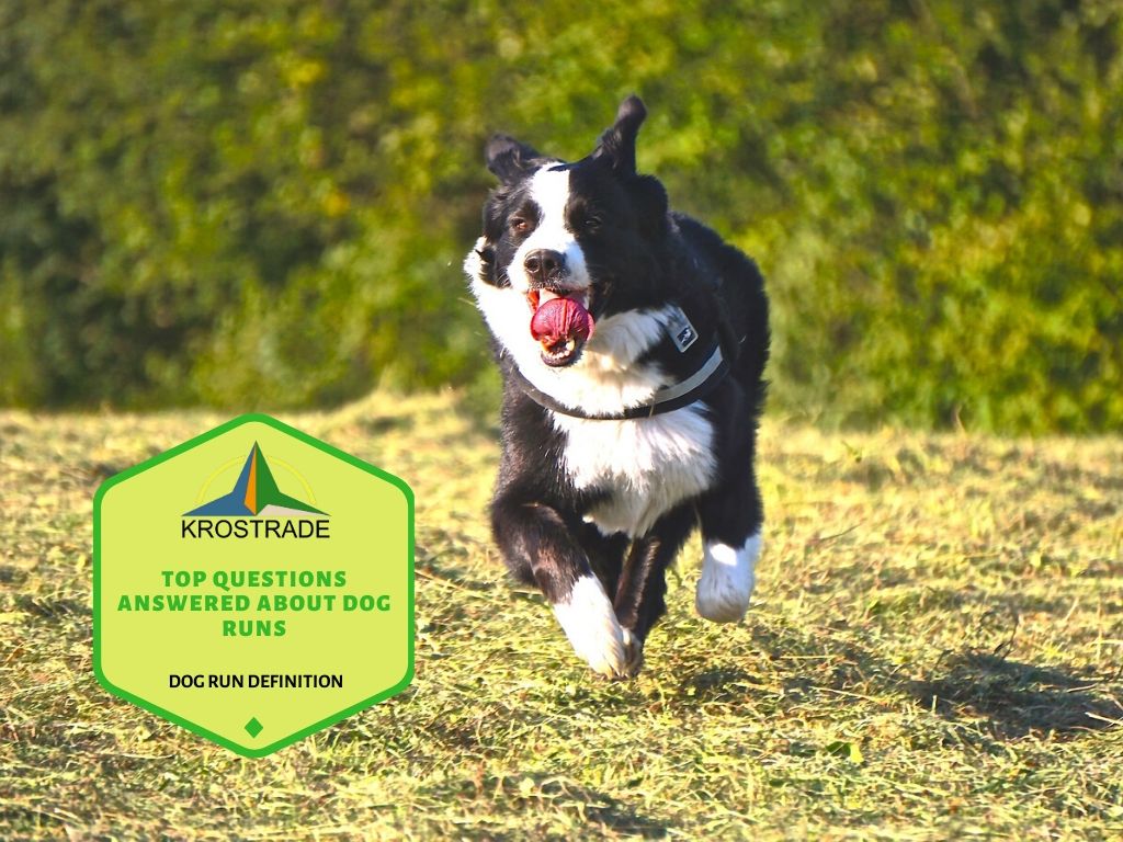 Dog Run Definition | Top Fragen zu Hundeläufen beantwortet