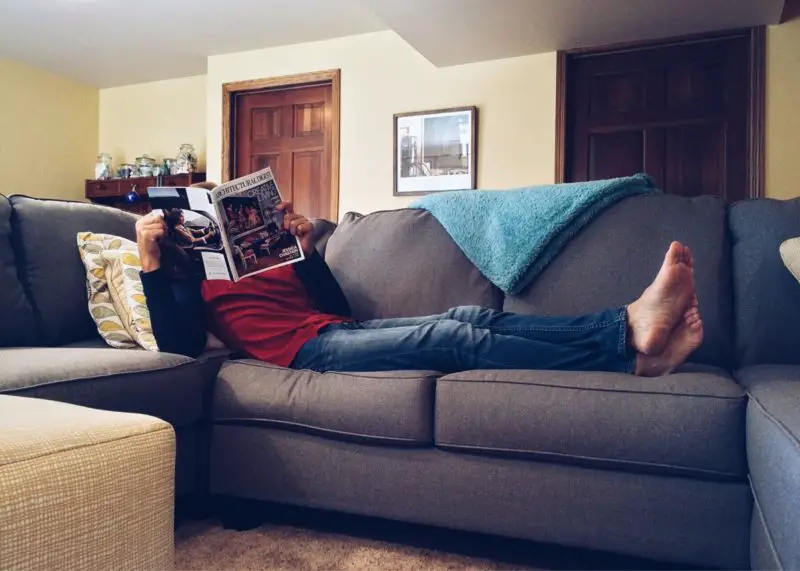 Wie man Bettwanzen in der Couch loswird? 3 einfache Schritte!