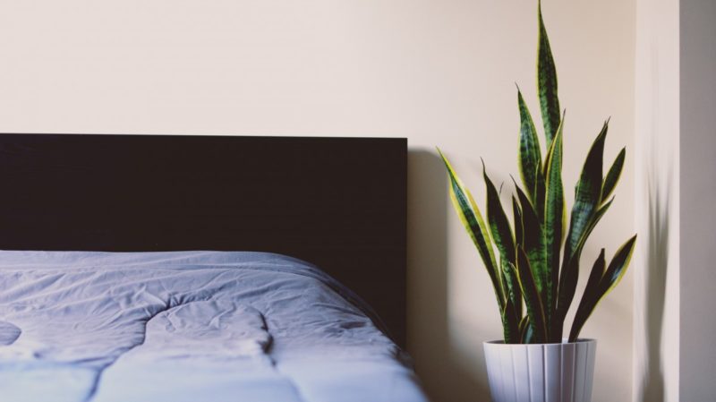 Wie repariert man ein durchhängendes Bett? 6 beste Methoden!