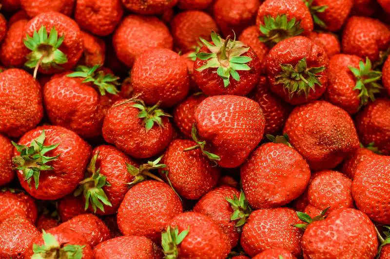Warum schimmeln Erdbeeren? 5 coole Möglichkeiten
