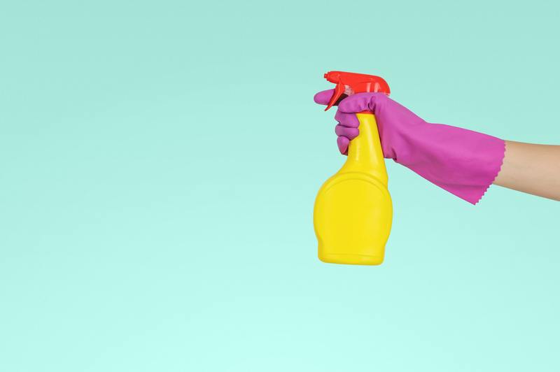 Was ist das beste Schädlingsbekämpfungsspray? 8 Optionen für Heimwerker