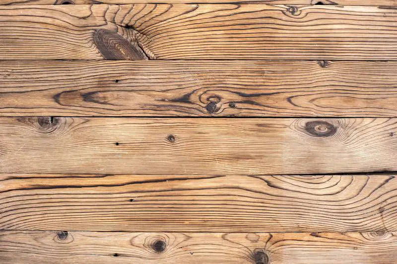Wie behandeln Sie wassergeschädigtes Holz: 3 überschaubare Schritte