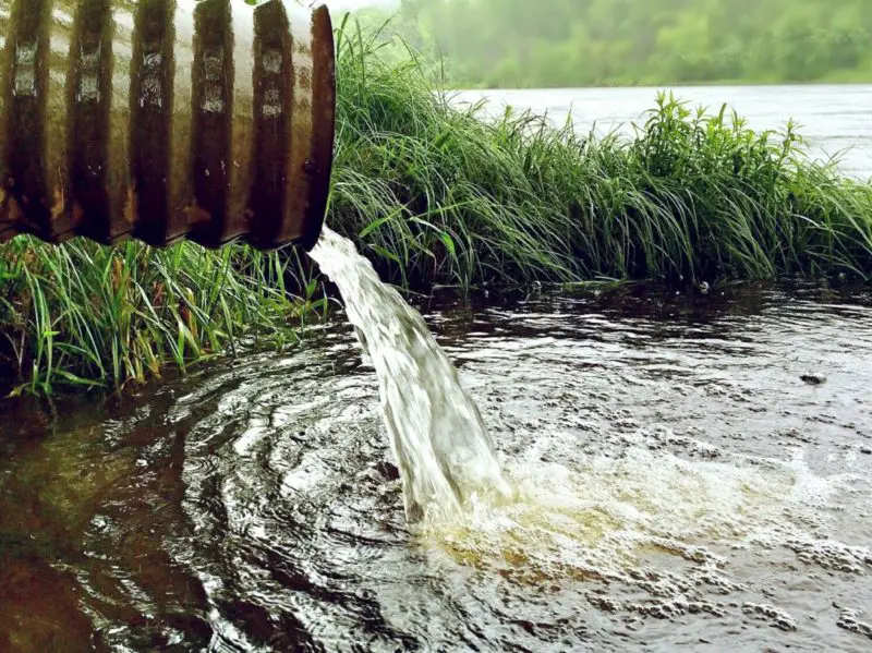 Wie oft muss der Warmwasserbereiter gespült werden? Lesen Sie diese fantastischen Fakten!